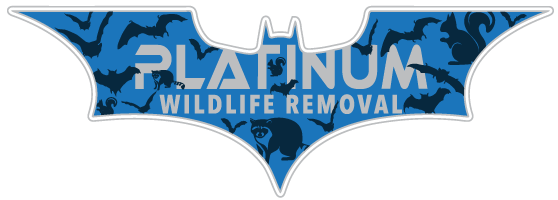 Wildlife Experts LLC